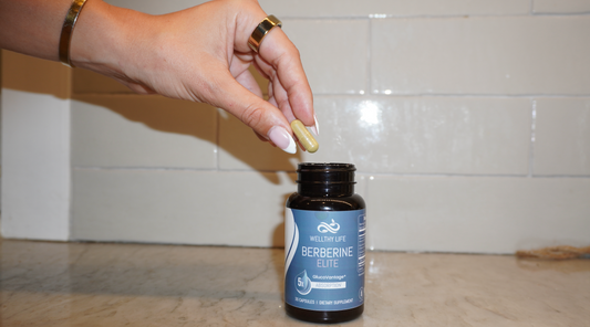 A Beginner’s Guide to Incorporating Berberine Elite Into Your Daily Wellness Routine